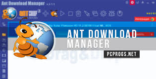 Ant Download